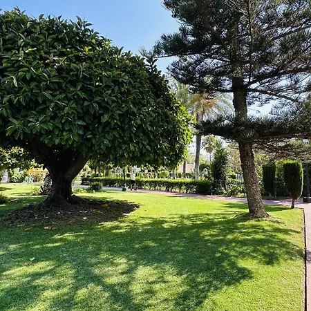 Apartamento Estudio Carolina Park